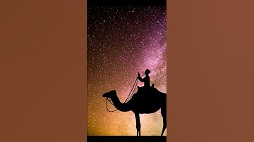أفلا ينظرون إلى الإبل كيف خلقت  القارئ خالد الجليل