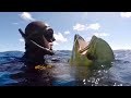 Подводная охота. Парусник. Дорадо .Sailfish. Spearfishing.