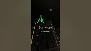 ﴿ يَا عبادِي الذِين آمنُوا إِن ارضِي وَاسِعَة ﴾ سوره العنكبوت، عبدالرحمن مسعد #ارح_قلبك #قران_كريم