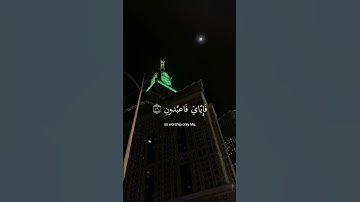 ﴿ يَا عبادِي الذِين آمنُوا إِن ارضِي وَاسِعَة ﴾ سوره العنكبوت، عبدالرحمن مسعد #ارح_قلبك #قران_كريم