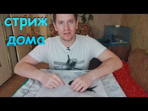 Нелётный стриж - это самая несчастная птица на свете