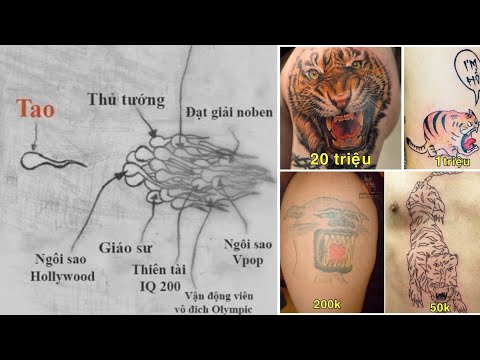 Video Ảnh chế p222 || thất bại của tạo hoá || ĐLT ảnh chế - youtube