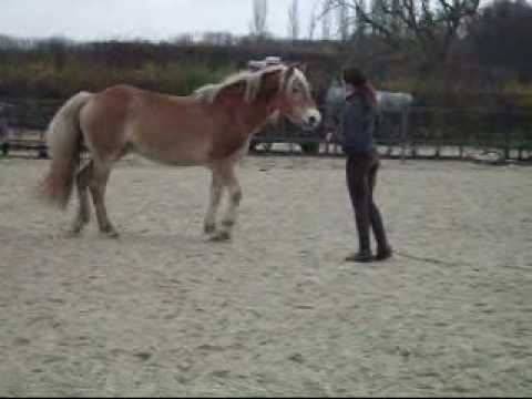* pauline & naiade *