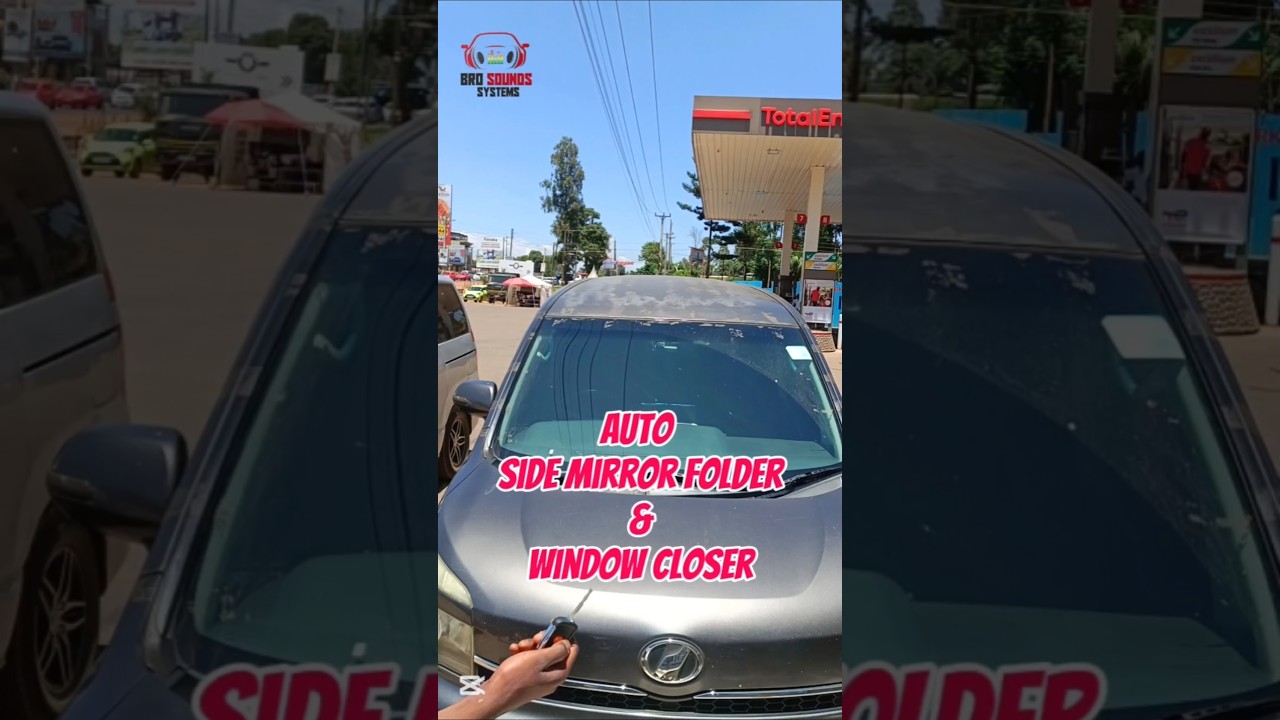 Automatic Side Mirror Folder