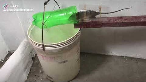 Bẫy chuột thông minh | Sử dụng thùng sơn và chai 7 up 1.5l