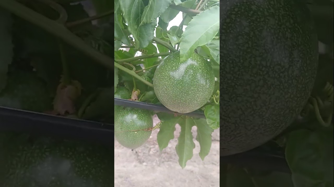 22 de fevereiro de 2026