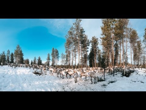 Video: Pääsiäinen 2019: Päivämäärä Ja Kiellot
