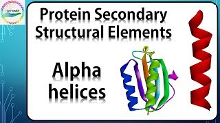Alpha Helix Structures in Proteins