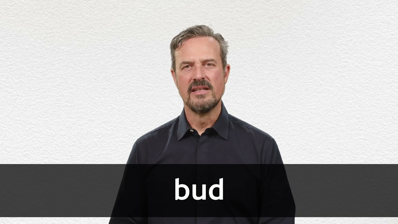 How to pronounce BUD in American English