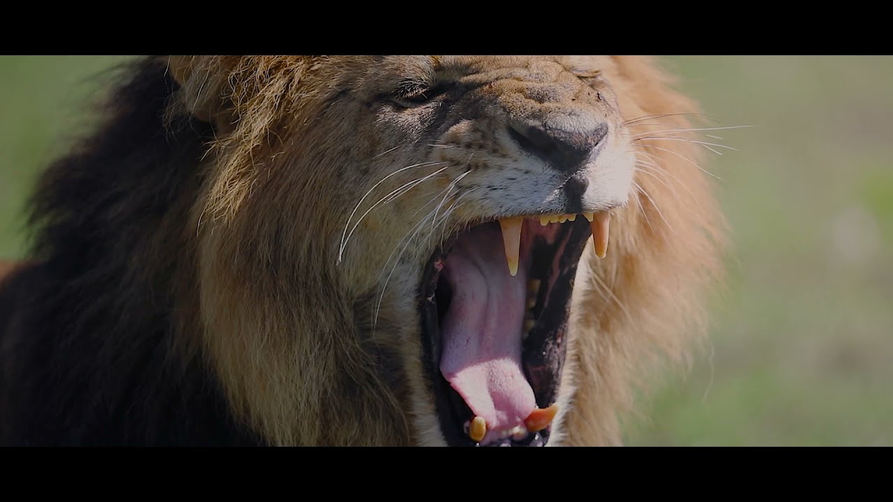 QuadCore Lifetime performance and lifetime protection