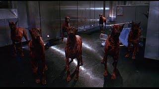 Resident Evil 2 Remake Parte 4 [Leon S  Kenedy] Perros Zombie