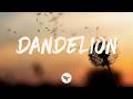 Ella Langley Dandelion Lyrics mp3