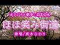 ほほ笑み街道(岩本公水さん)唄/真木さおり