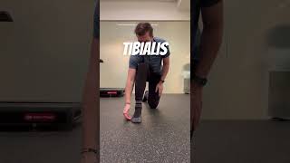 Celebrity Do You Actually Have Flat Feet? Wealth