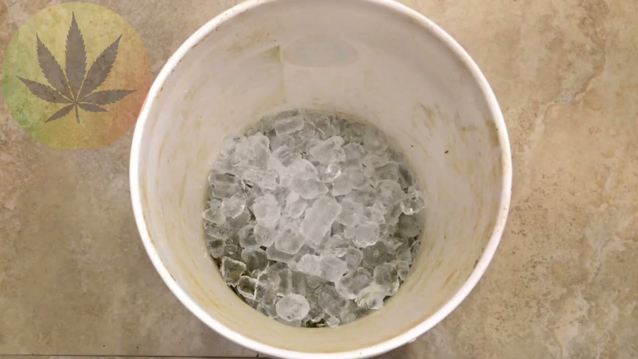 How to Make Bubble Hash with Ice