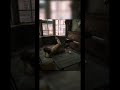 50k beğeni gelirse bu oyunu hediye edebilirim | RDR2 #shorts
