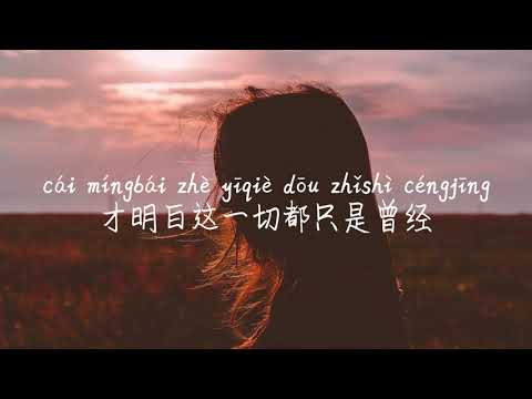【最初的记忆-徐佳莹】ZUI CHU DE JI YI-XU JIA YING/TIKTOK,抖音,틱톡/병음가사,拼音歌词, pinyin lyrics/광고 없음, No AD,无广告