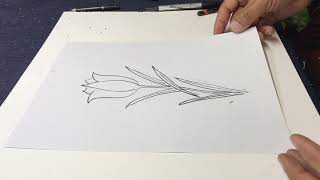 Dibujando Tulipanes Y Calas 02