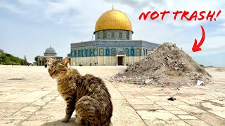 Temple Mount Secret Debris: An Archaeological Goldmine