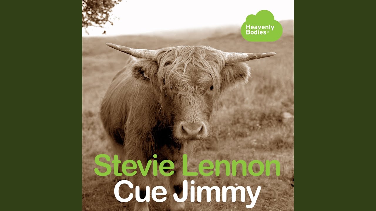 Cue Jimmy (Steve Valentine Remix)