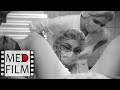 Беременность. Нефропатия © Nephropathy in childbirth