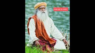 KHÁM PHÁ CÁCH CƠ THỂ VÀ TÂM TRÍ HOẠT ĐỘNG | #sadhguru