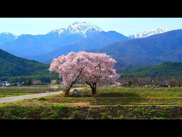 安曇野待春 美しき安曇野の春・4K - YouTube