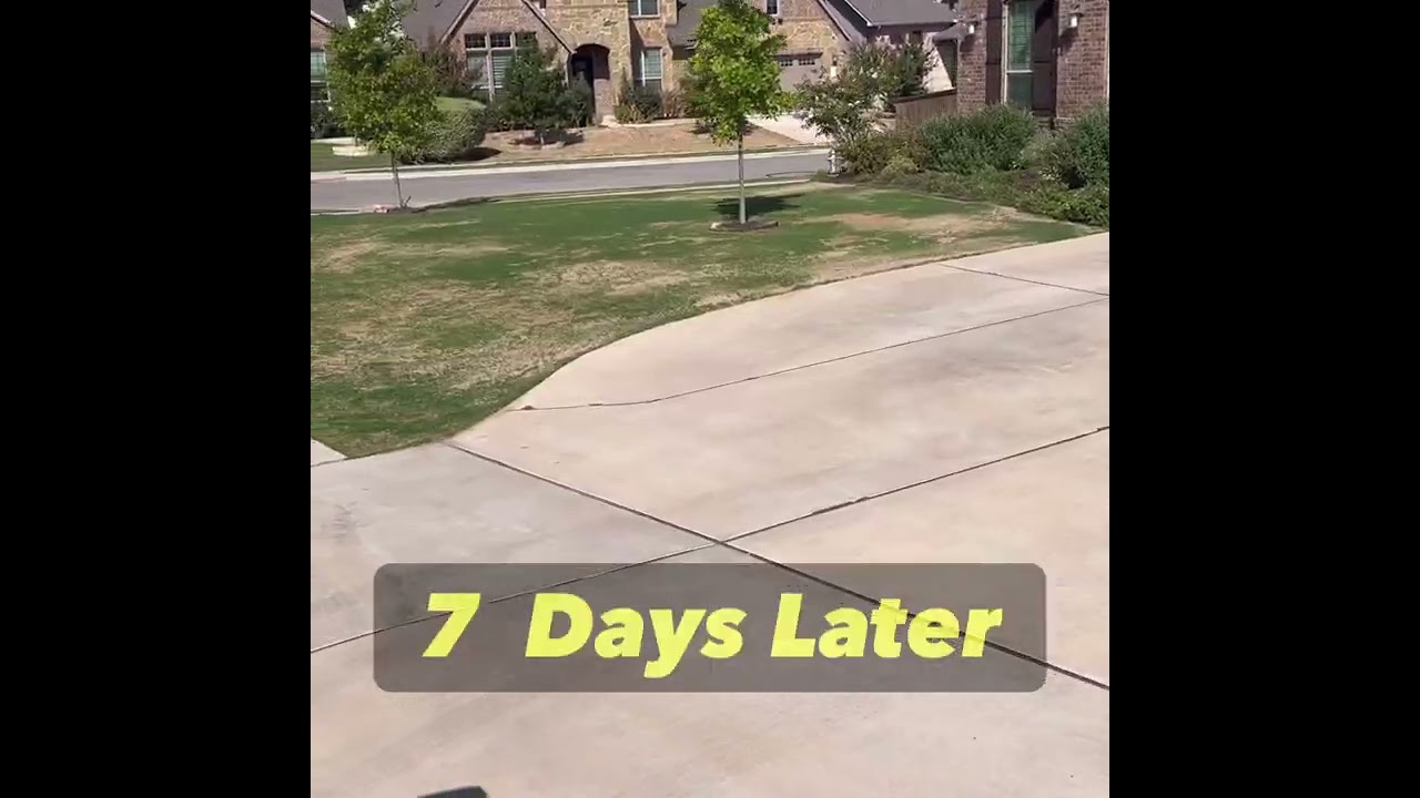 Lawn Leveling with Masonary Sand Austin Texas