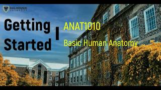 Getting Started Video ANAT1010 2026