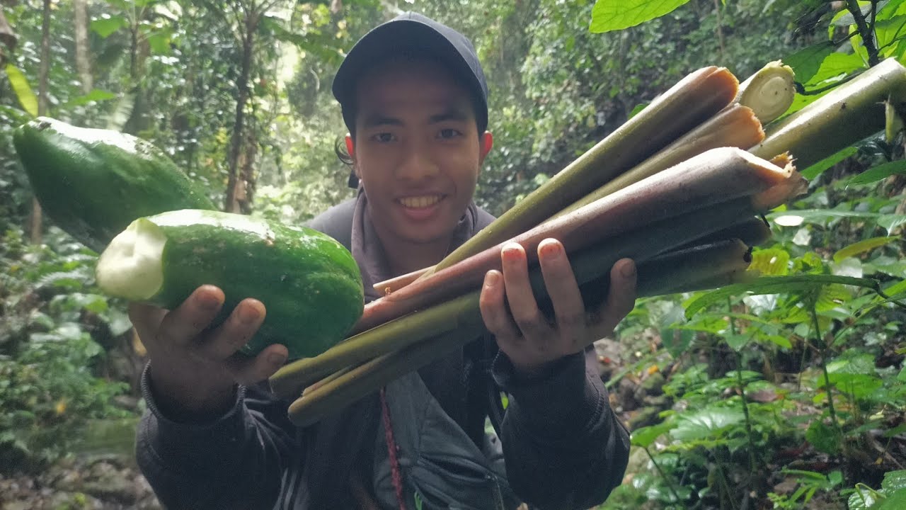 collecting Wild Vegetables || Arunachal Pradesh || Cook & Eat