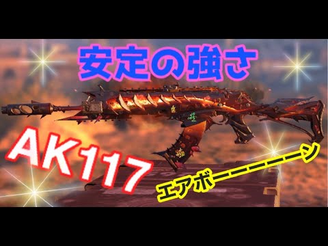 【バトロワ】ソロデュオ〜安定のAK117〜
