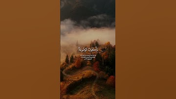 سوره الغاشيه. عبدالرحمن مسعد         #قرآن  #القرآن_الكريم #سورة_الغاشية #عبدالرحمن_مسعد
