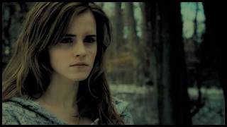 nobody said it was easy; ron&hermione