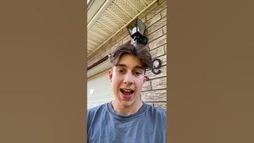 Red Flags When Looking at a USED Car!