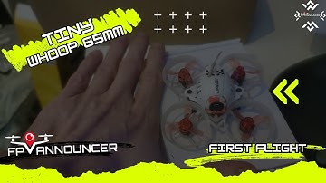 65mm Tiny Whoop First Flights