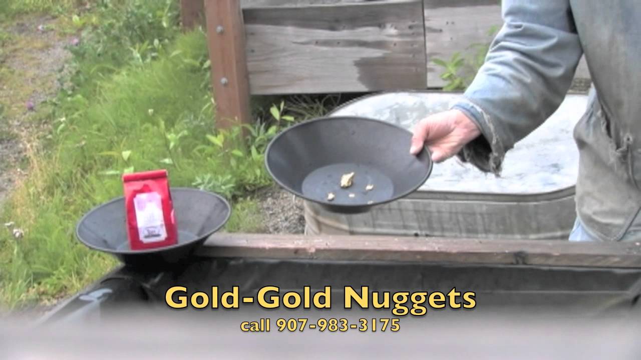 Klondike Gold Fields Gold Nuggets