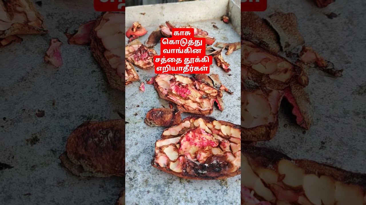 இது தெரியாம வீணாக்காதீங்க உடனே தெரிந்து கொண்டு பயன்படுத்துங்கள் இதை இப்படி 