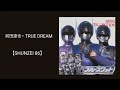 前田達也・TRUE DREAM(『ブルースワット』主題歌)/カラオケ【SHUNZEI 86】