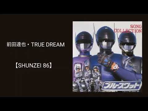 前田達也・TRUE DREAM(『ブルースワット』主題歌)／カラオケ【SHUNZEI