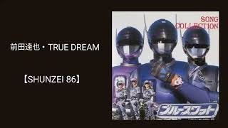 前田達也・TRUE DREAM(『ブルースワット』主題歌)／カラオケ【SHUNZEI