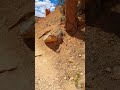 Southwest Trip 2021 #dixienatonalforrest #redcanyonvisitorscenter #redcanyonarch #birdseyetrail #