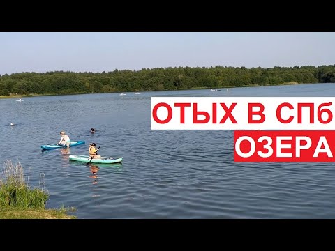 Отдых в Петербурге. Озера. #Кипень, Кипенское озеро, #Ропша | август 2022