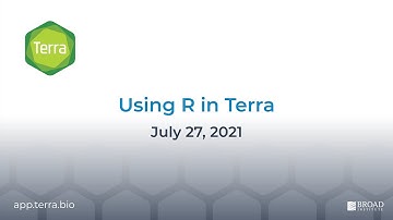 Using R in Terra