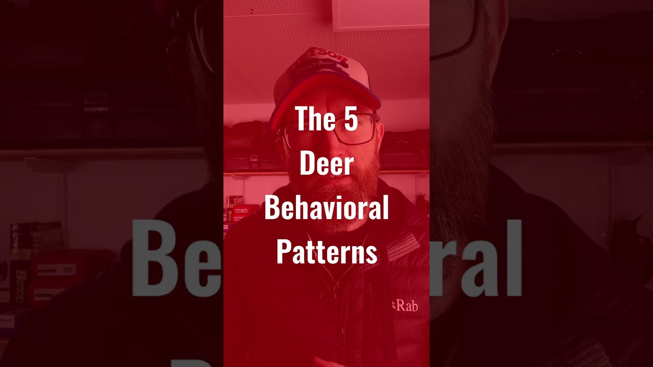 5 secrets to help you shoot more deer 