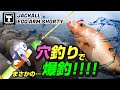 【穴釣り】このロッド最強。EGGARM（ジャッカル エッグアーム ショーティー）