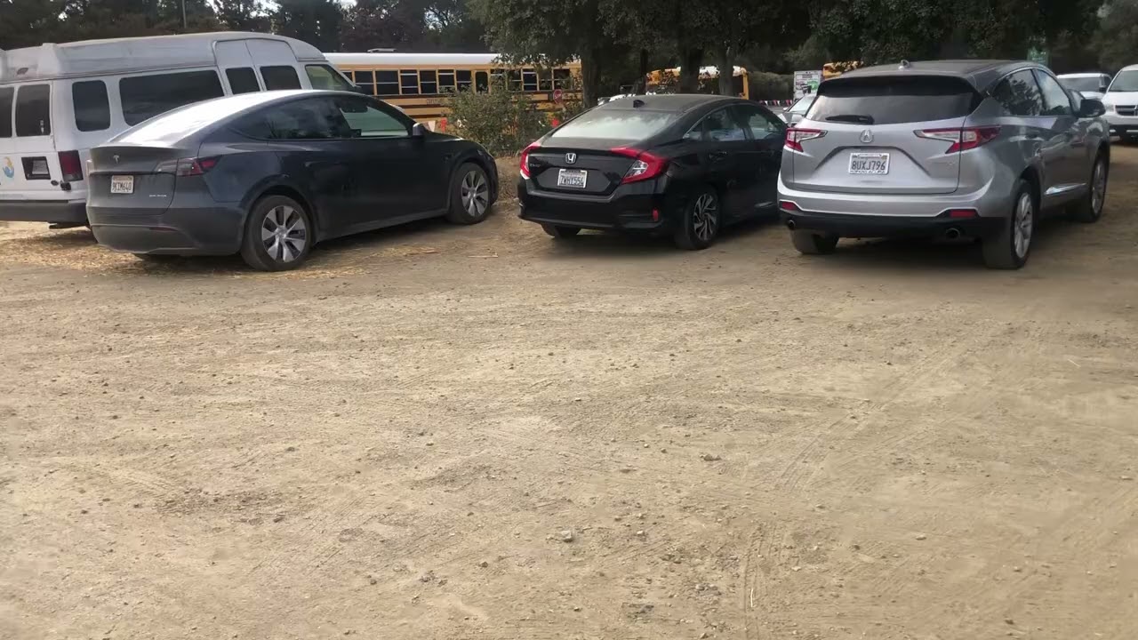 Queen’s Pumpkin Patch Conclusion 10月25日2024年