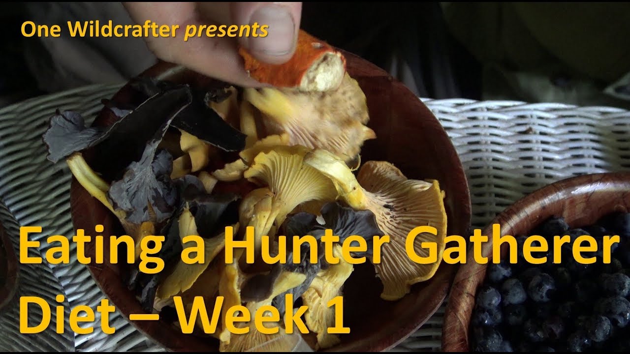 Eating a Hunter Gatherer Diet Week 1 YouTube