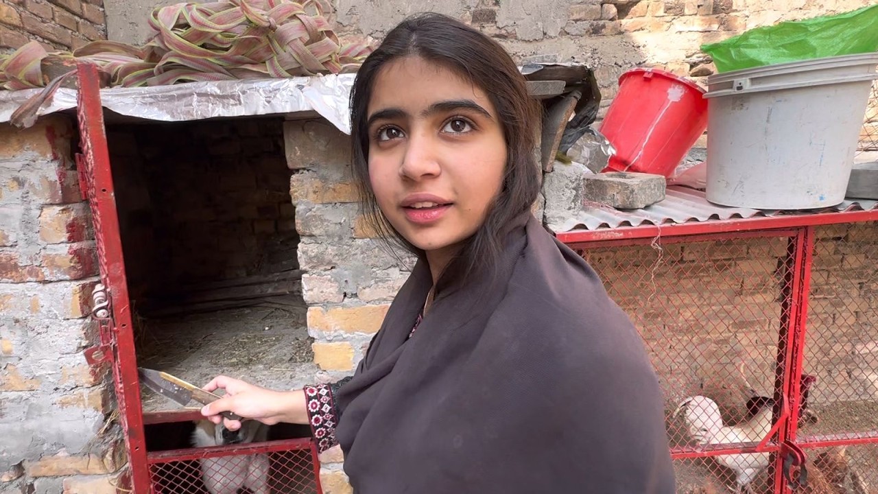 Murgi Kuruk Ho Gai 😱 Aaj Ando Par Betha Di! | 21 Din Mein Choozay? 🐣🥚