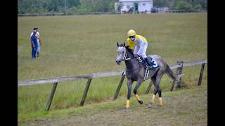 Horse Race Castleton Race Track A Class TBA 6 Furlongs July 26, 2026