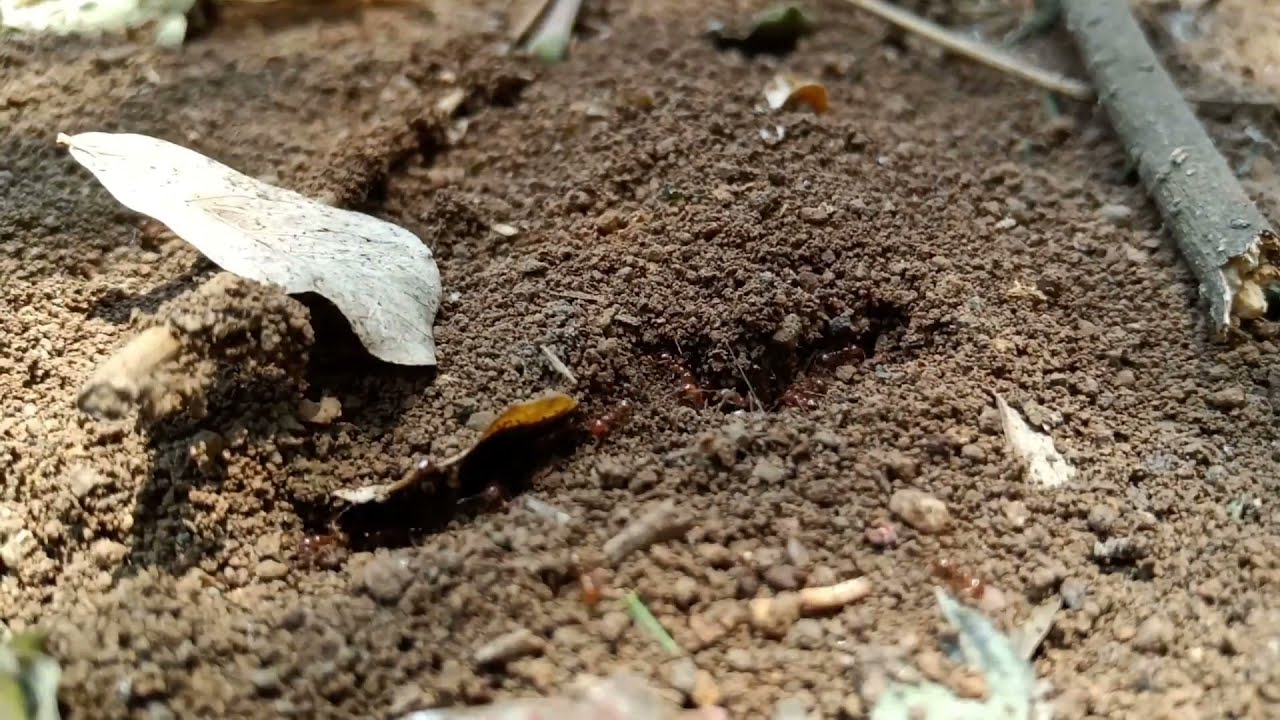 John McClane (music video)